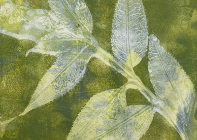 Blad 2
